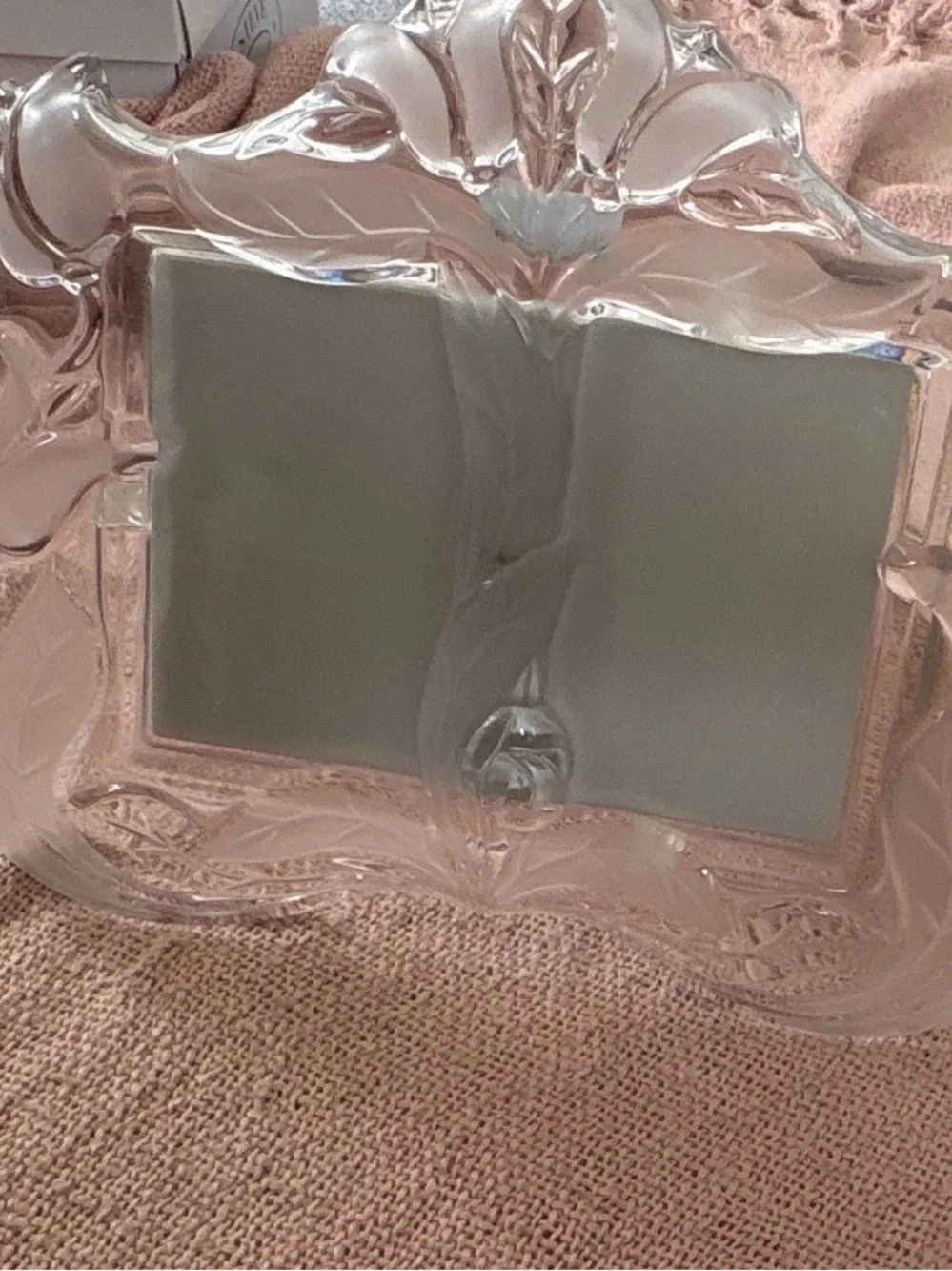 Clear Glass Picture Frame with Etched Leaf Design - Clear